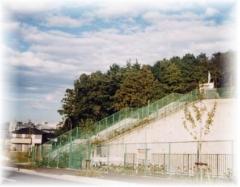 保存地区の写真