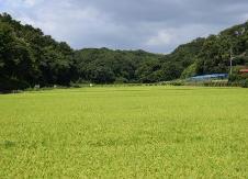 寺家ふるさと村の風景