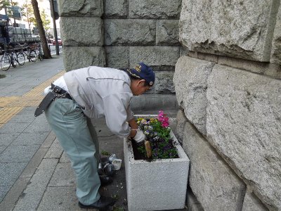 緑化活動２
