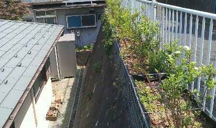 緑化整備１