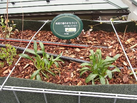 緑化整備１－２