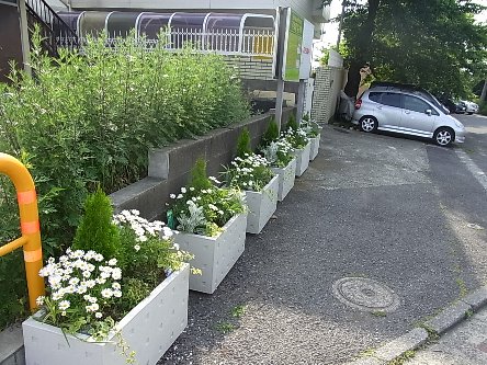 緑化整備２