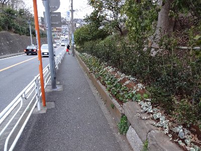 緑化整備１