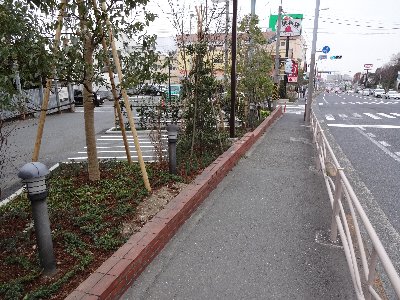緑化整備５