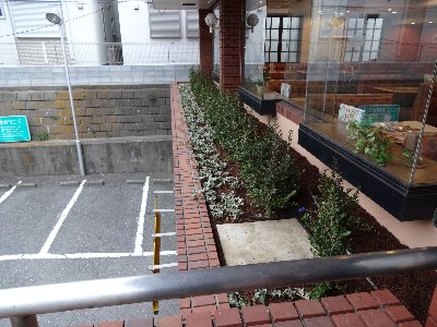 緑化整備６