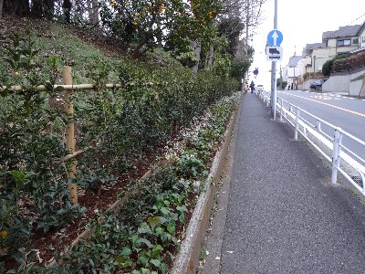 緑化整備７