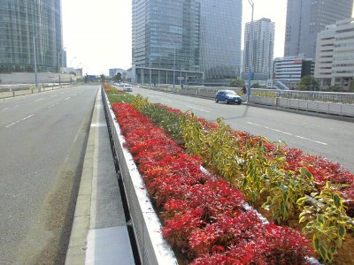 緑化整備１