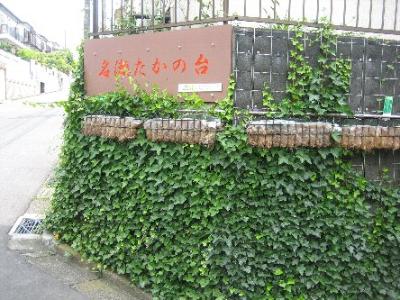 緑化整備その後
