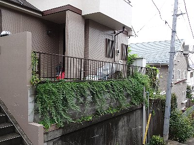 緑化整備２
