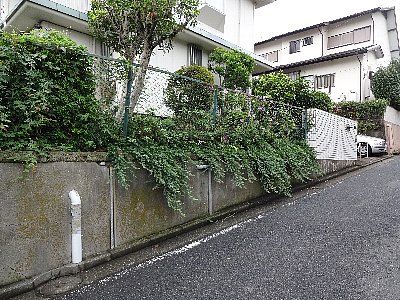 緑化整備３