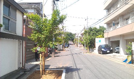 緑化整備５