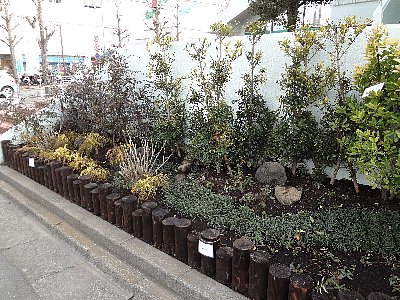 緑化整備２