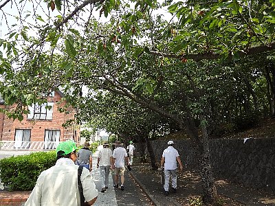 まち歩きの写真