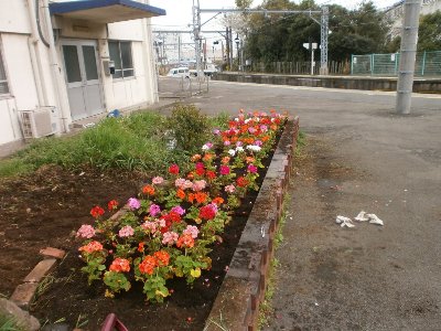 緑化活動１