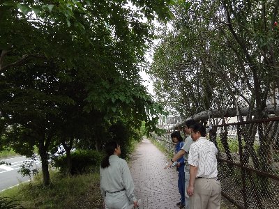 現地写真