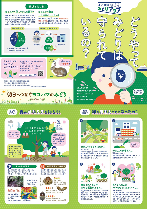 「こどもみどりアップ」表面画像