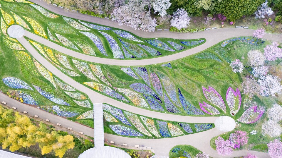 里山ガーデンフェスタの大花壇の全景を上空から撮影した写真です。（2024年4月7日撮影）
