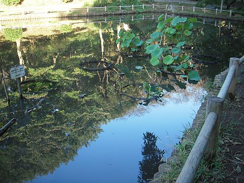 池の写真