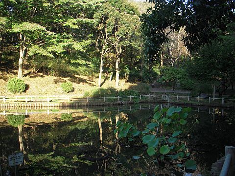 池の写真