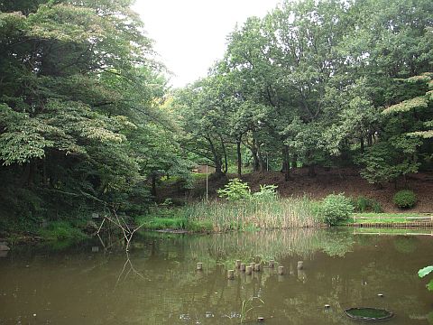 池の写真