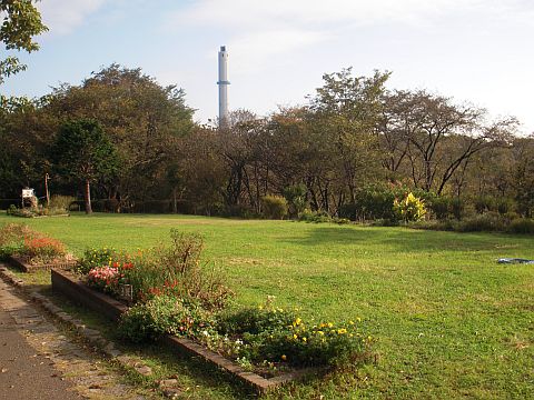 芝生の広場