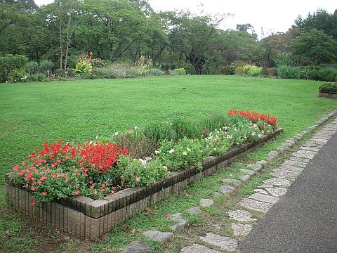 芝生の広場