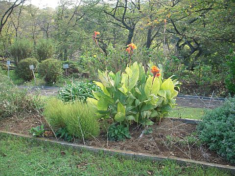 芝生の広場