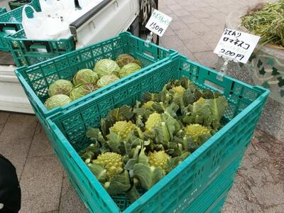 みなとみらい農家朝市の様子（珍しい野菜）