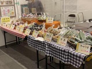 販売している野菜の写真