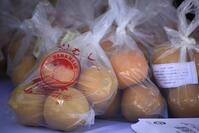 販売用の袋に入った浜なし画像
