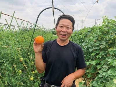 ゆうせなの新鮮野菜