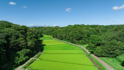 横浜らしい農景観