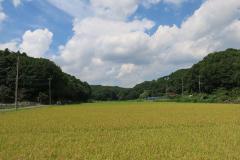 寺家ふるさと村の風景写真