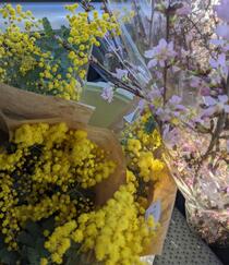 ミモザとサクラの花束
