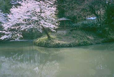 「熊の池」の写真