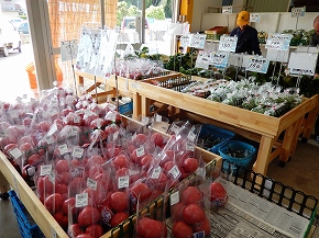 舞岡や店内の写真