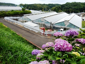 体験温室外観の写真