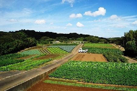 舞岡ふるさと村の風景の写真