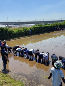 環境学習農園