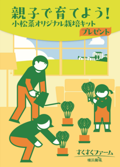 親子で育てよう！小松菜オリジナル栽培キット