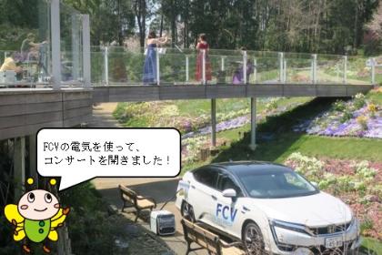 里山写真