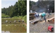 新治市民の森一帯の里山景観と生物多様性を守り育てる活動
