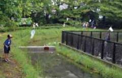 トンボはドコまで飛ぶかプロジェクト