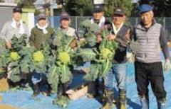 農作業を通じた住民の見守りと交流 六ツ川野外サロンプロジェクト