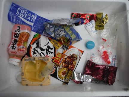 燃やすごみに混入されていた食品などのプラスチック製容器の写真