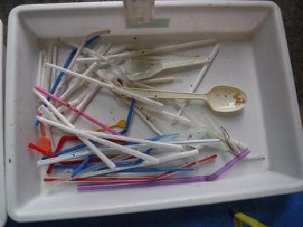 ワンウェイプラスチック（食器類等）の写真。ストローやスプーンなど。