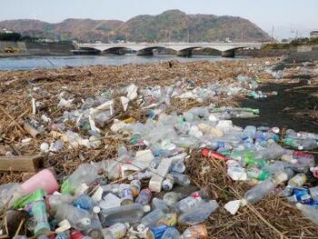 川岸のプラスチックごみの写真
