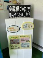 冷蔵庫の展示（外観）