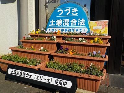 土壌混合法の土で花を育てる様子