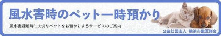 横浜市獣医師会風水害時の一時預かり事業バナー